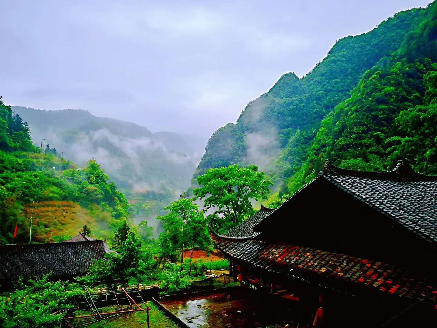 其他