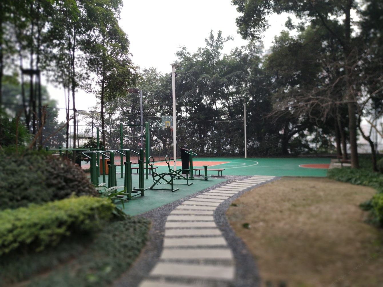 其他