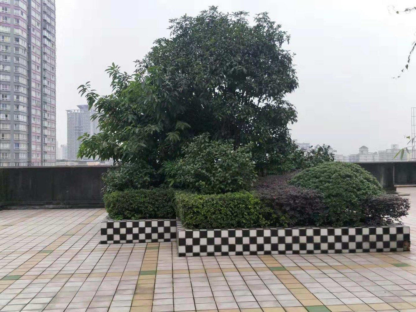 重庆好莱屋酒店公寓杨家坪店(8号店)