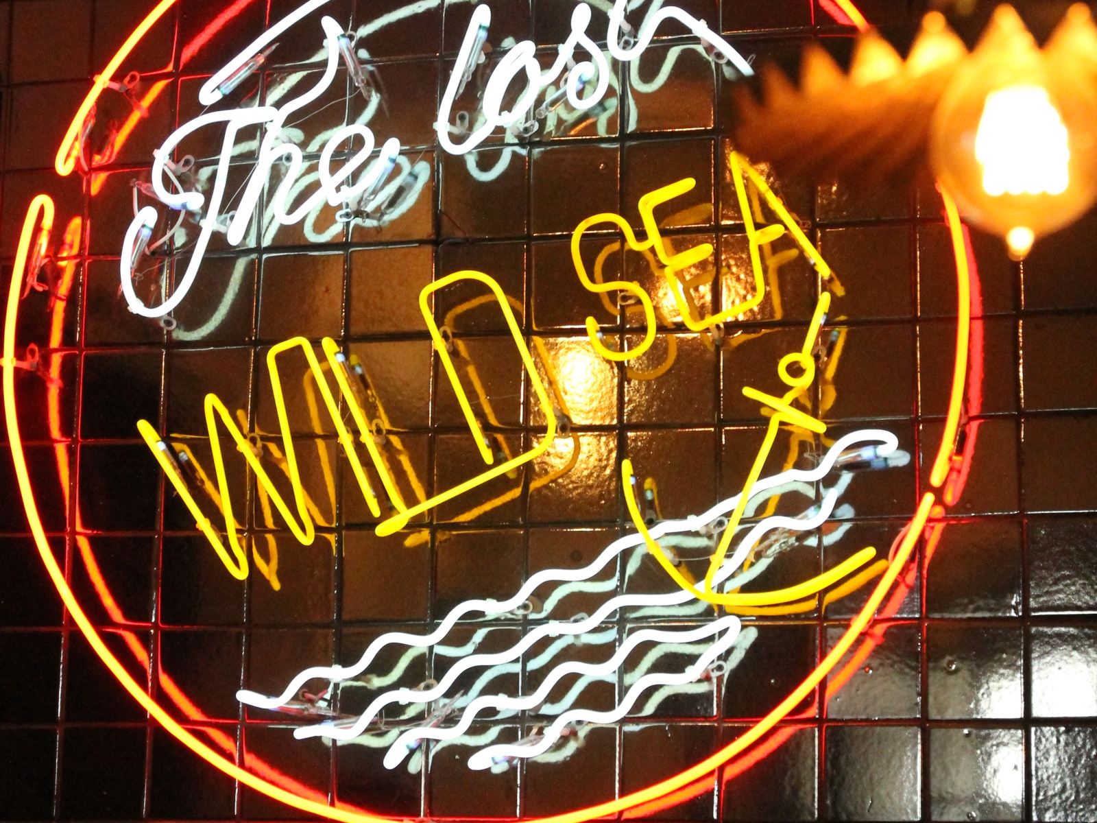 大连Wild Sea Hostel野海美宿
