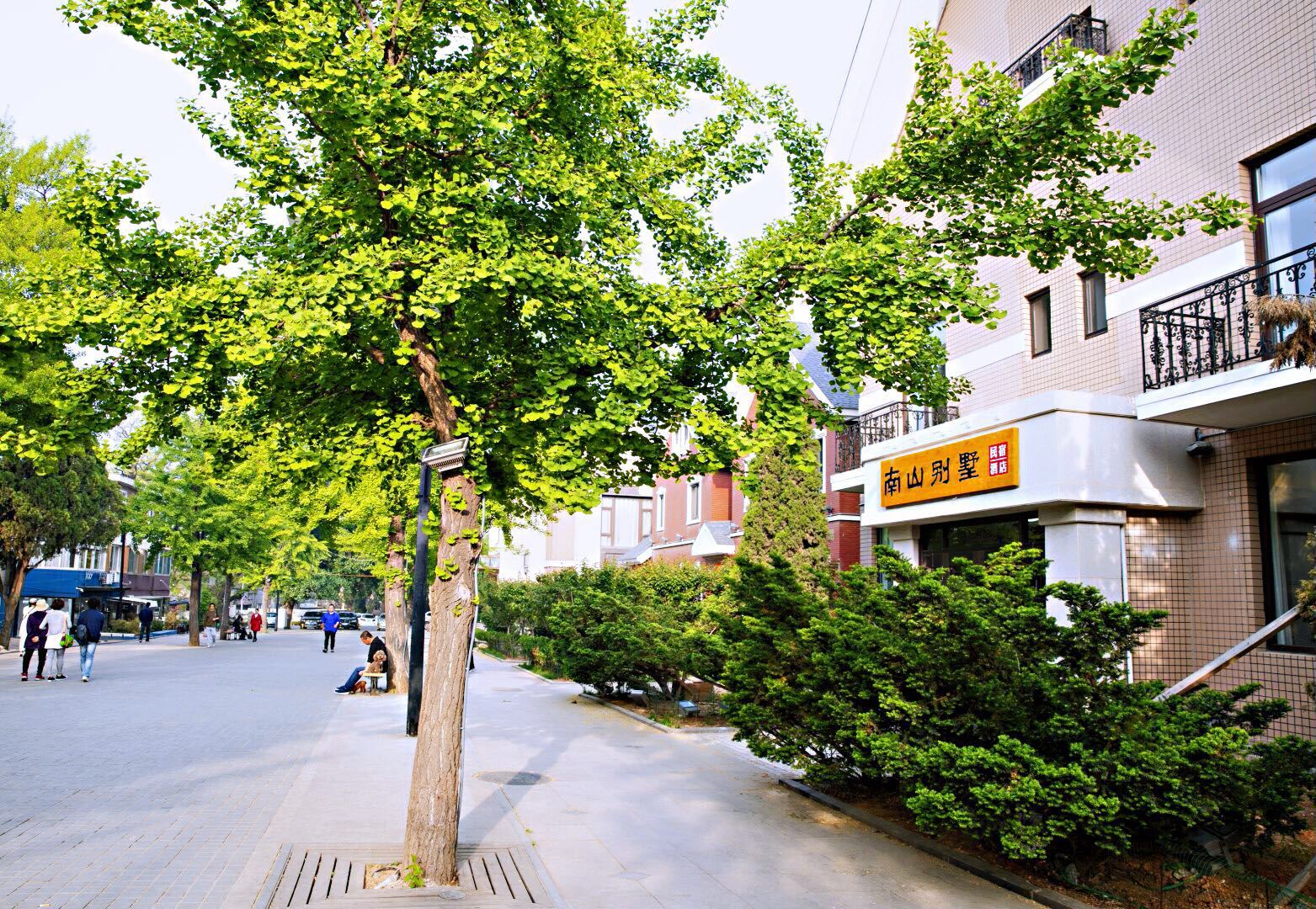 大连南山别墅酒店