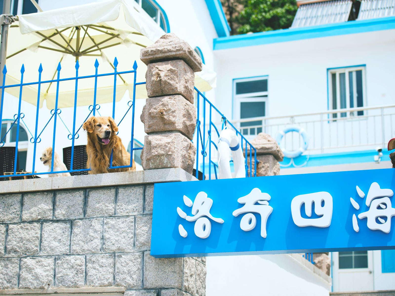青岛洛奇四海客栈