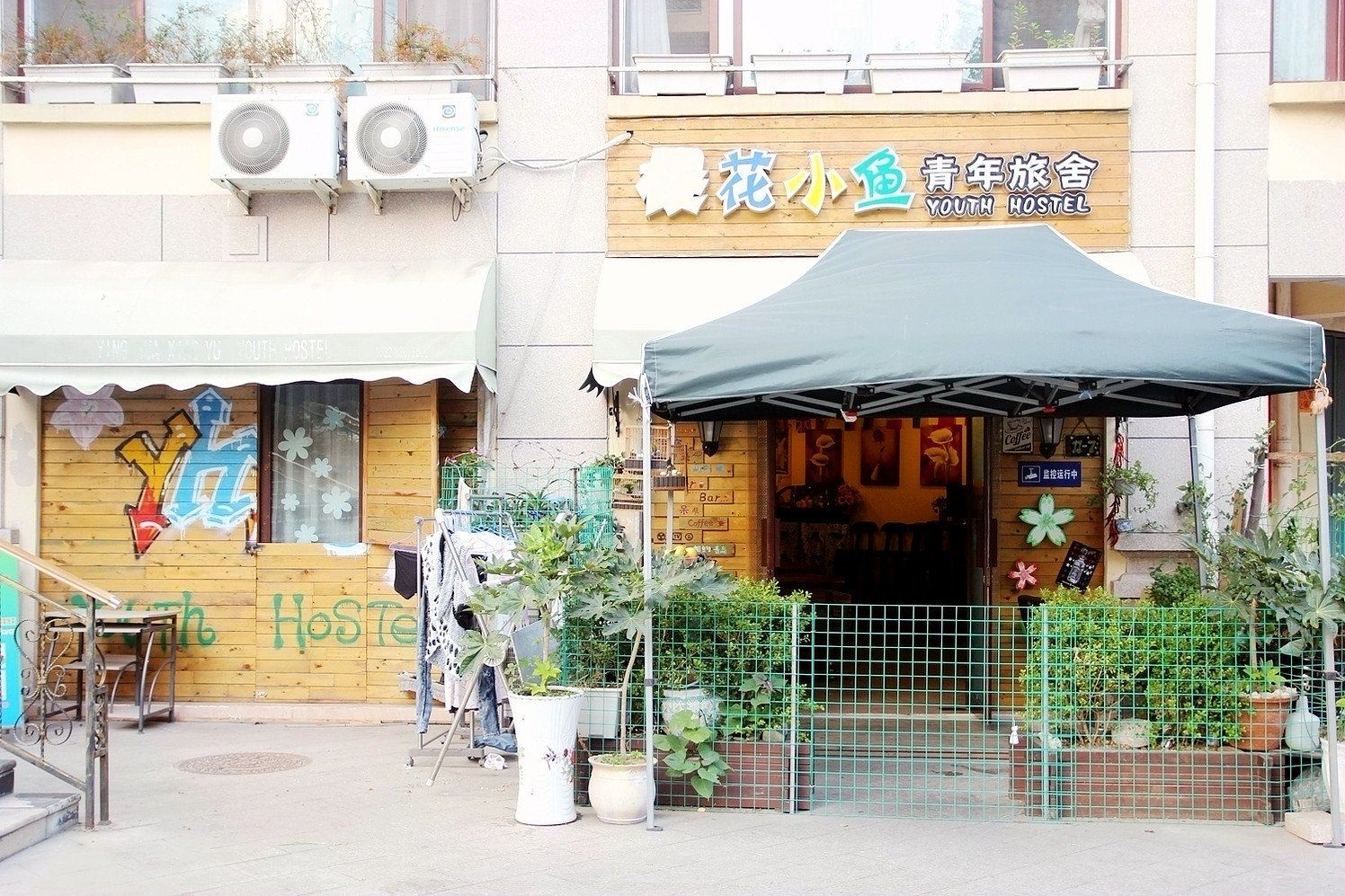 青岛樱花小鱼青年旅舍
