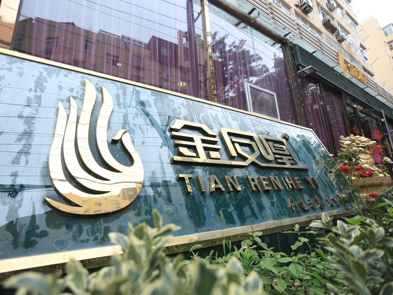 青岛金凤凰宾馆