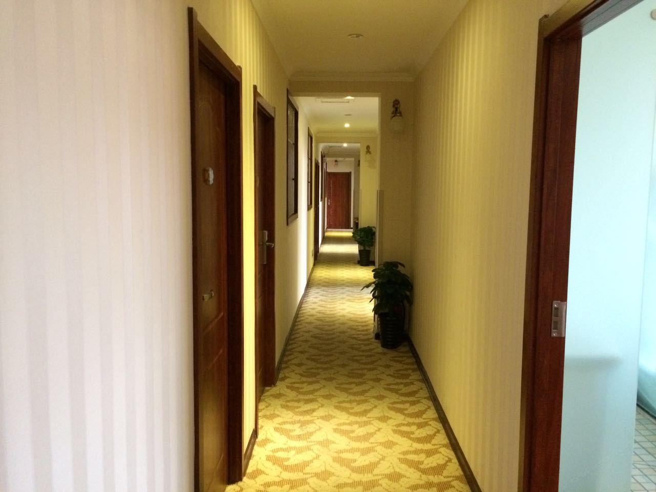 公共区域