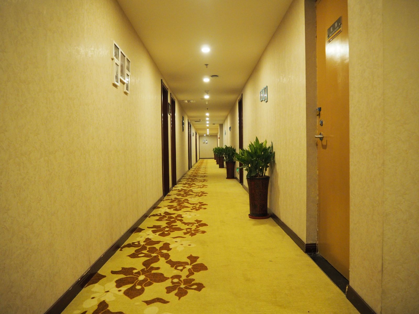公共区域