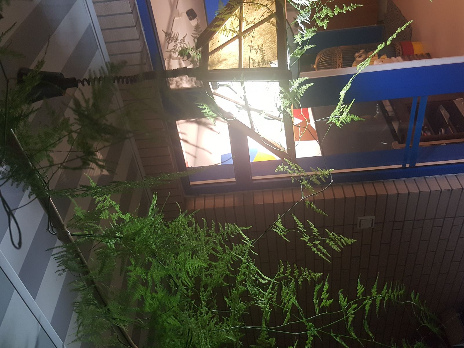西安木子家青年旅舍