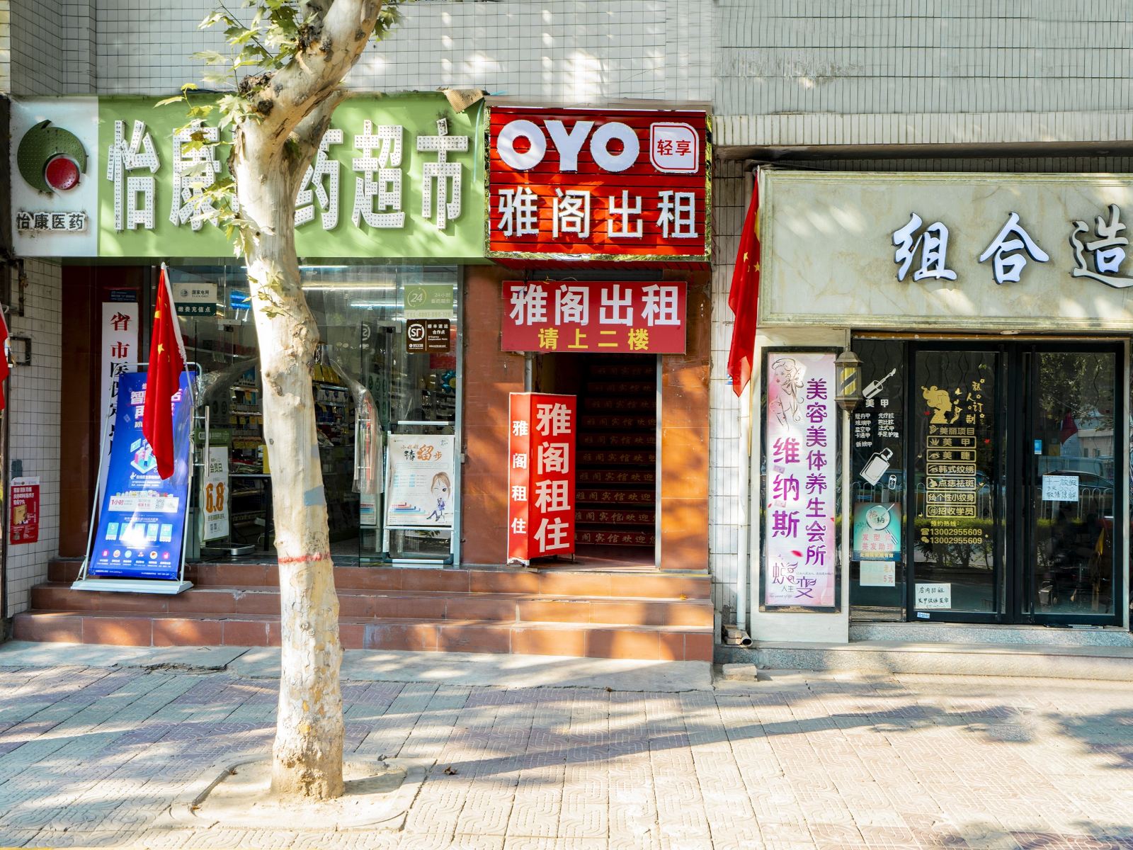 外观