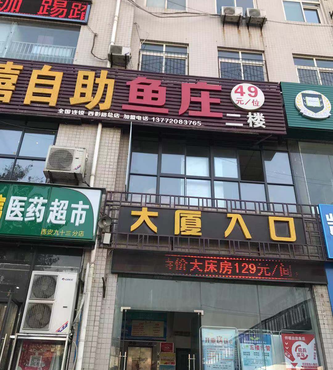 外观