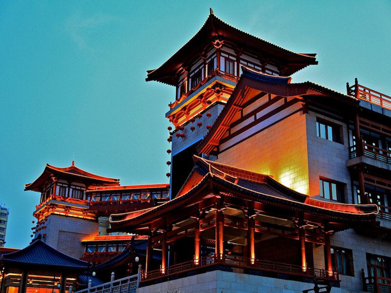 其他
