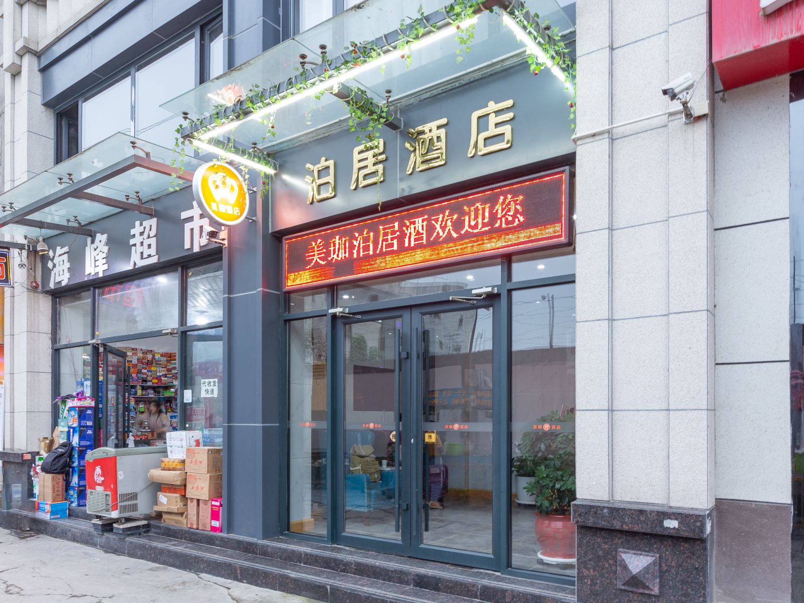 外观