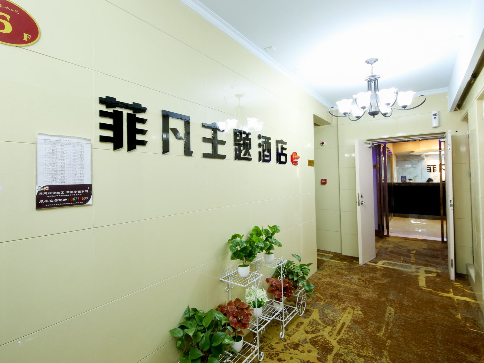 公共区域