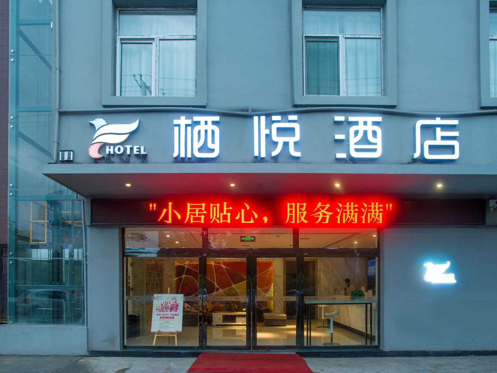 外观