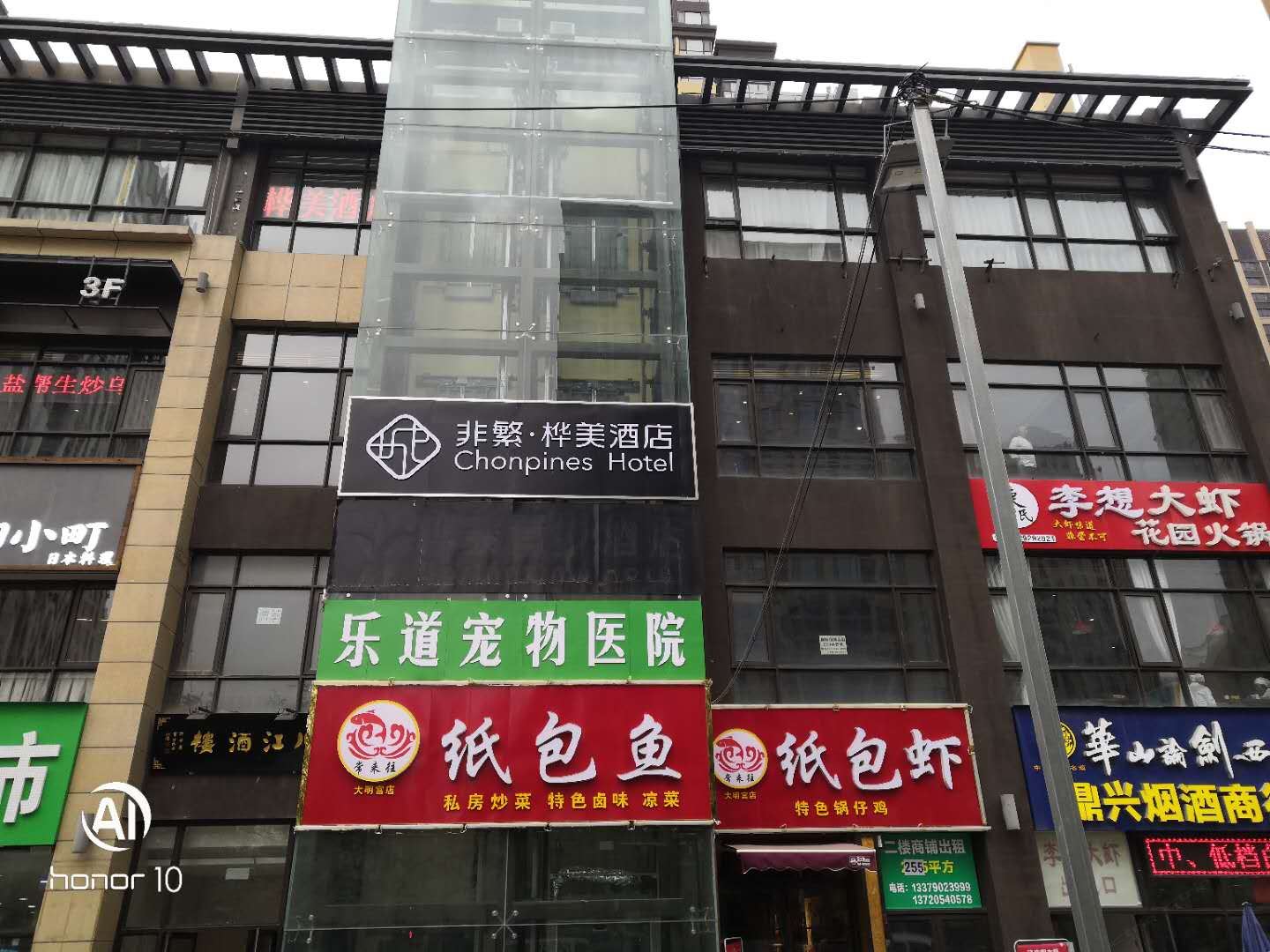 外观