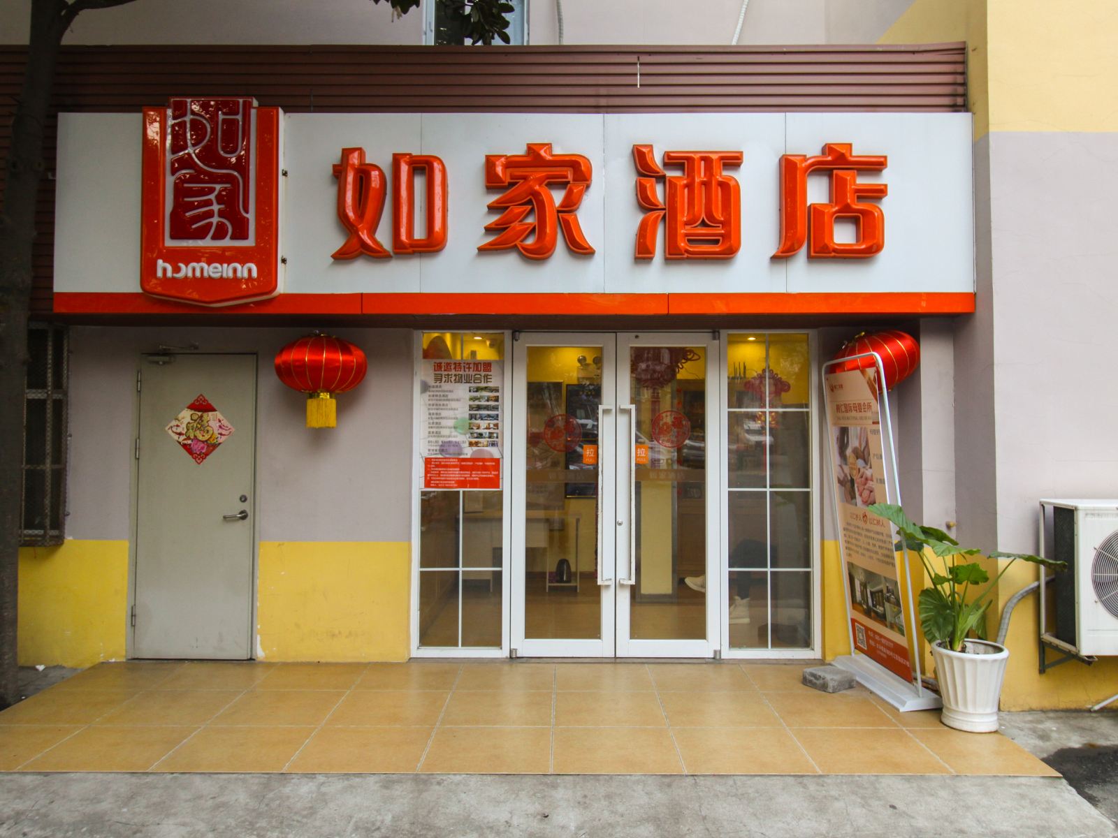 外观