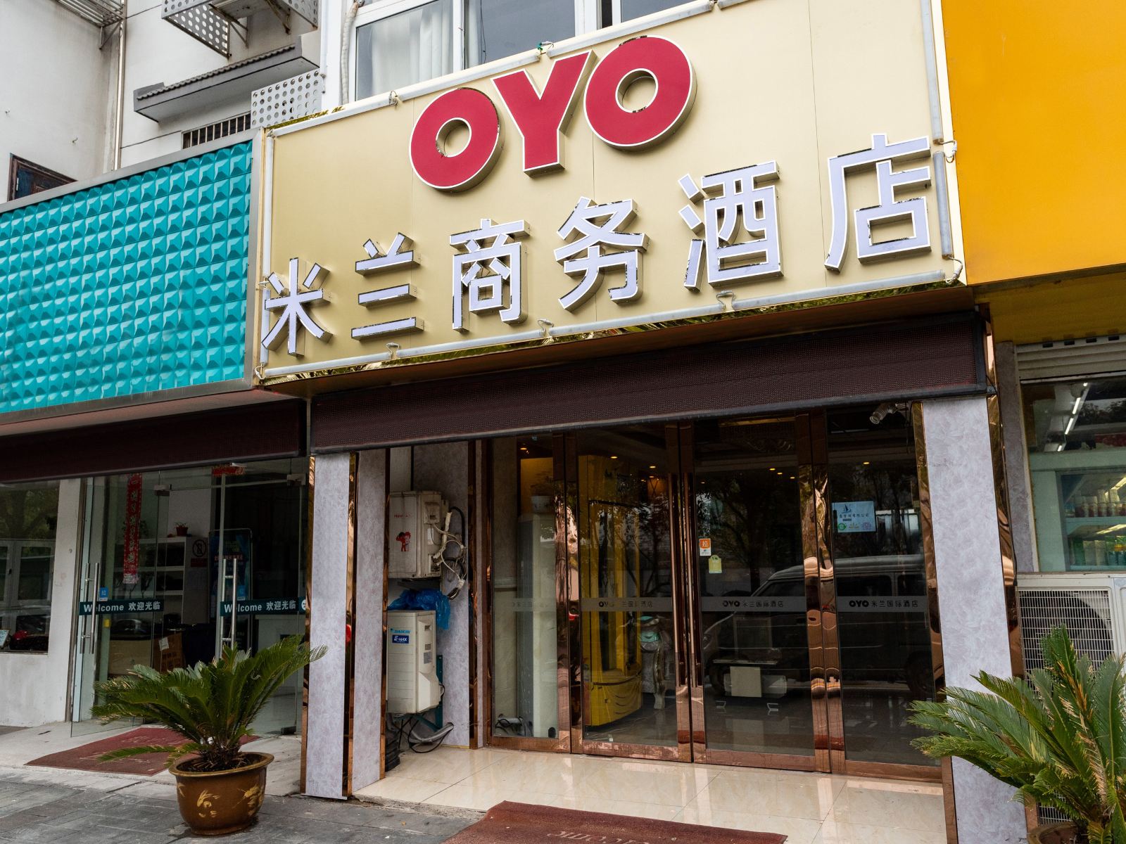 外观