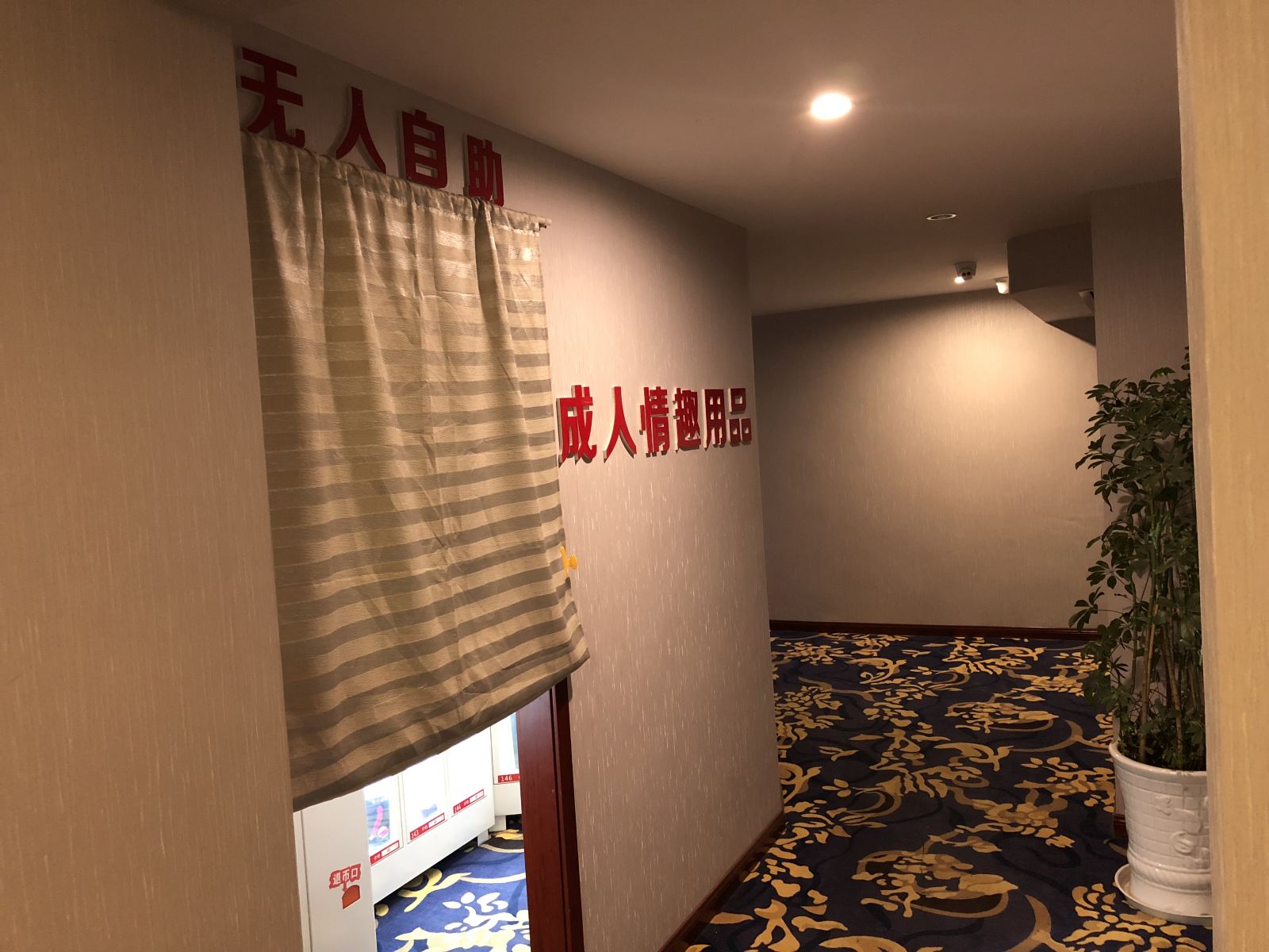 公共区域