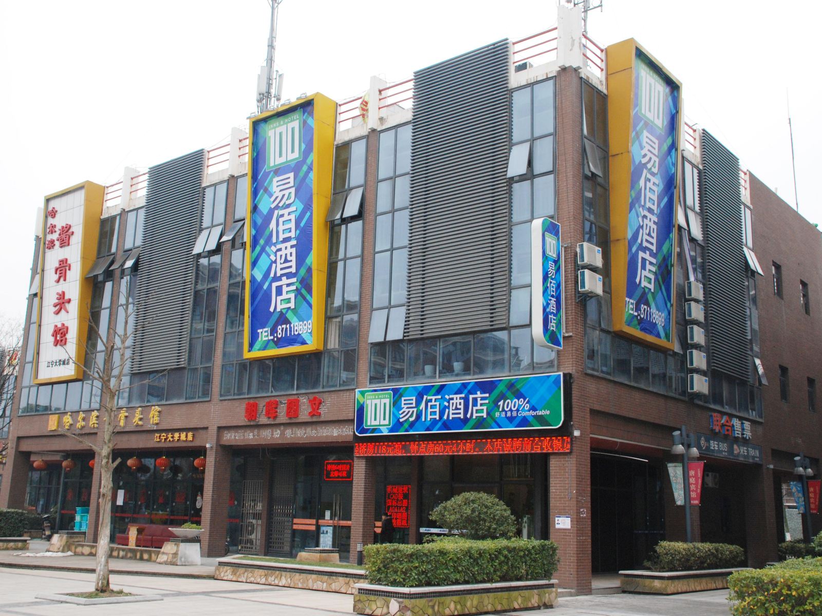 外观