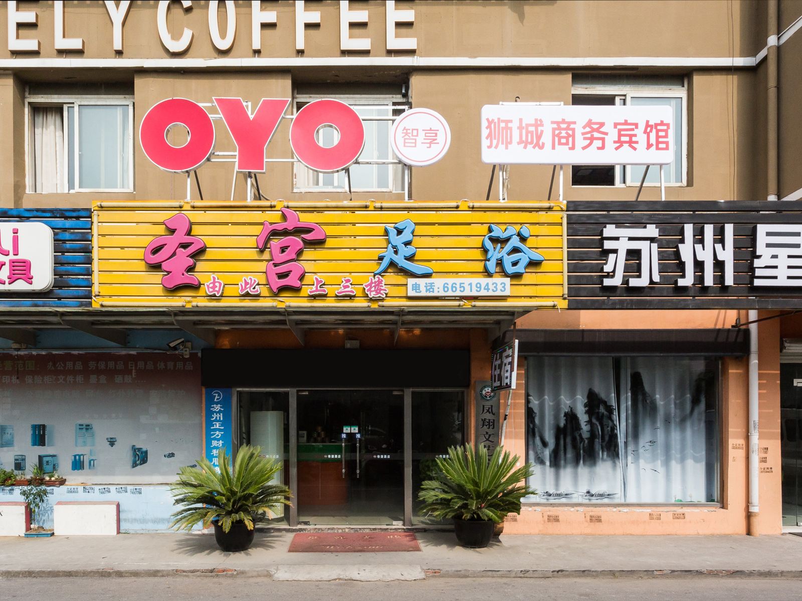 外观