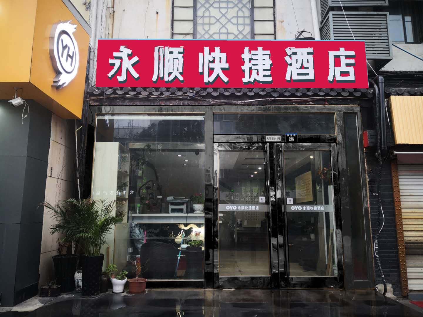 外观