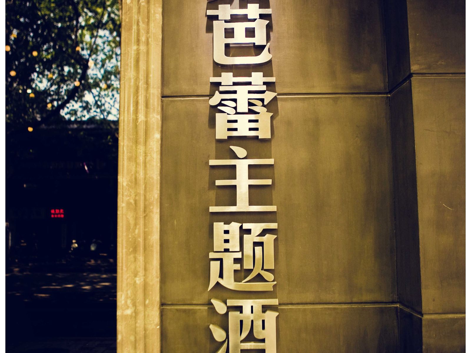外观