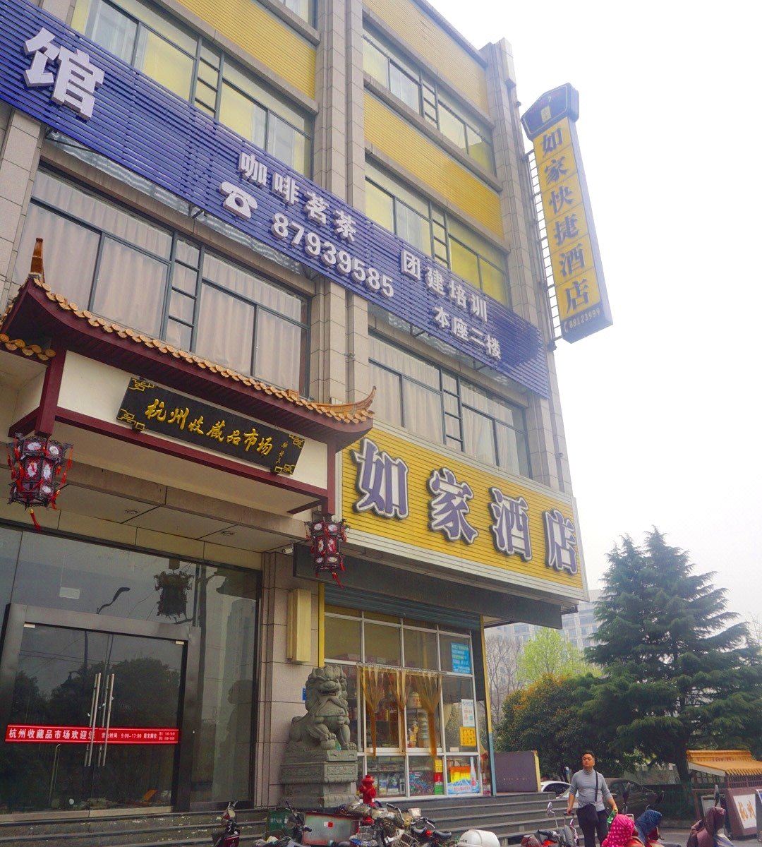 外观