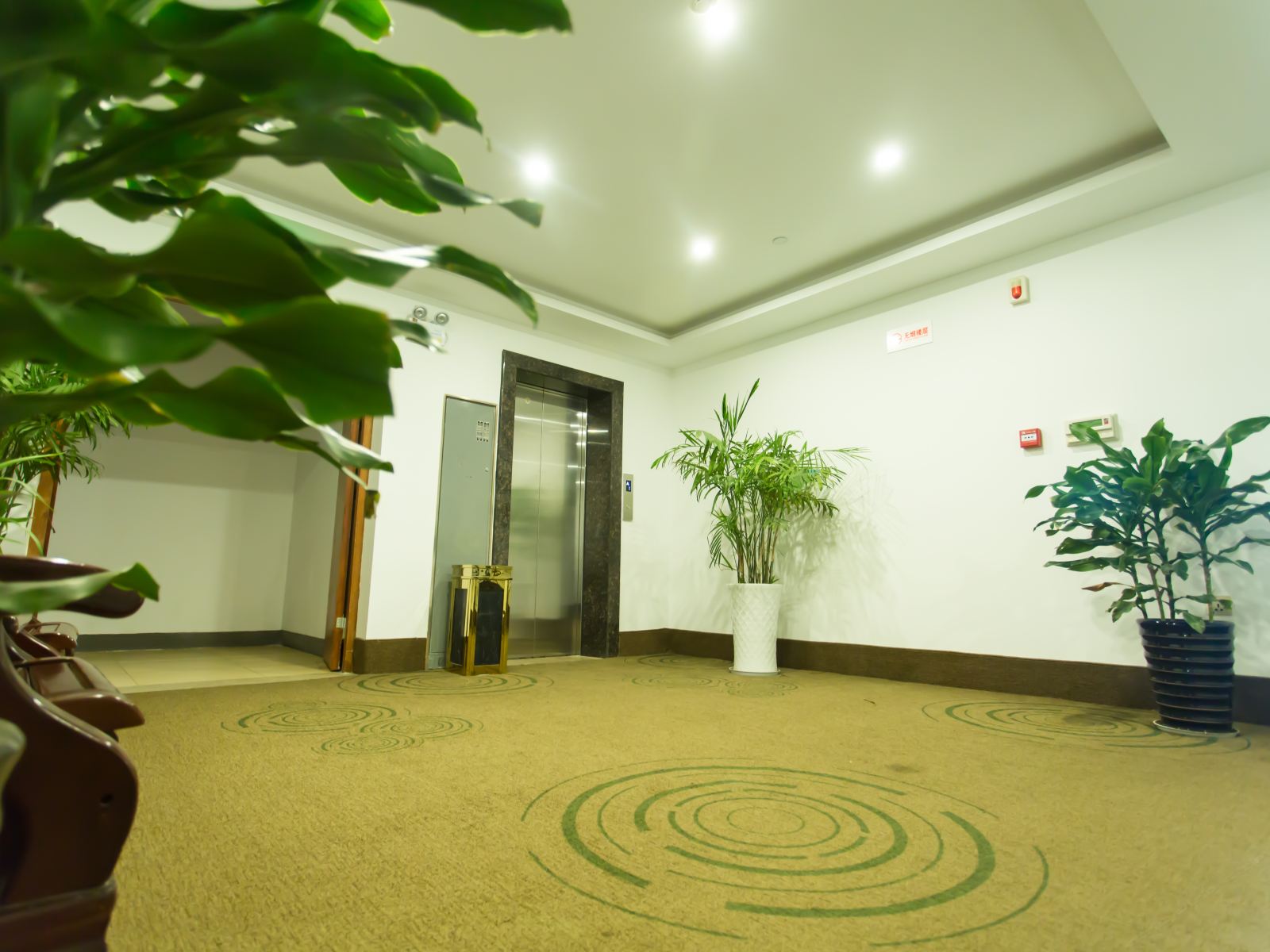 公共区域