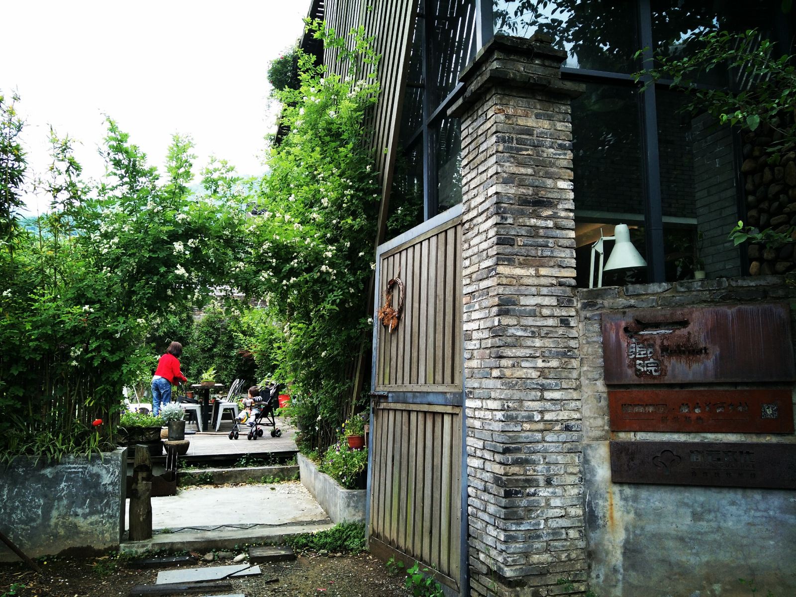 外观