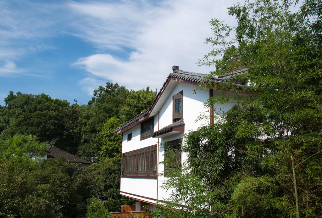 西湖茶墅·竹