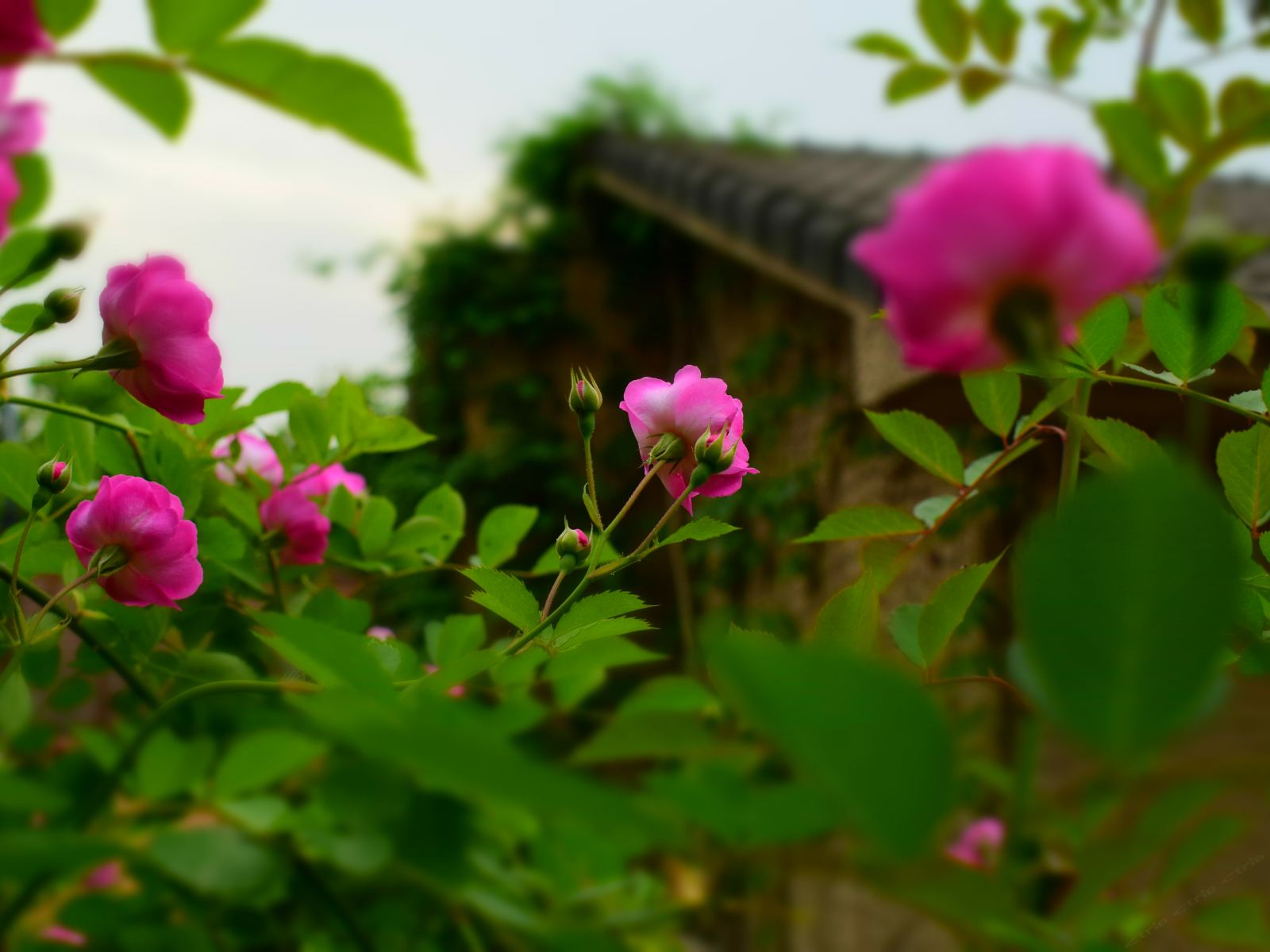 杭州望景度景屋精品客栈