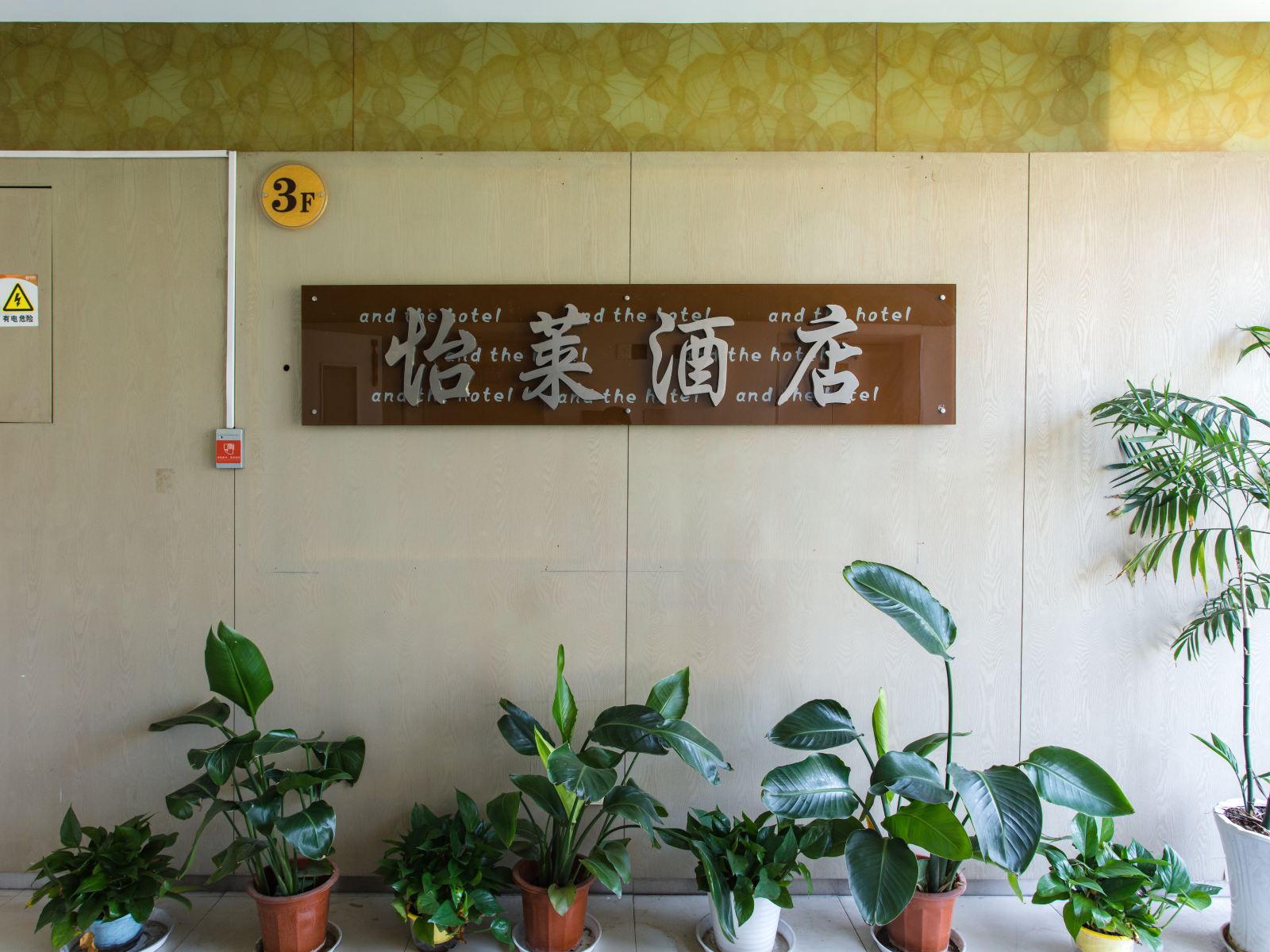 其他