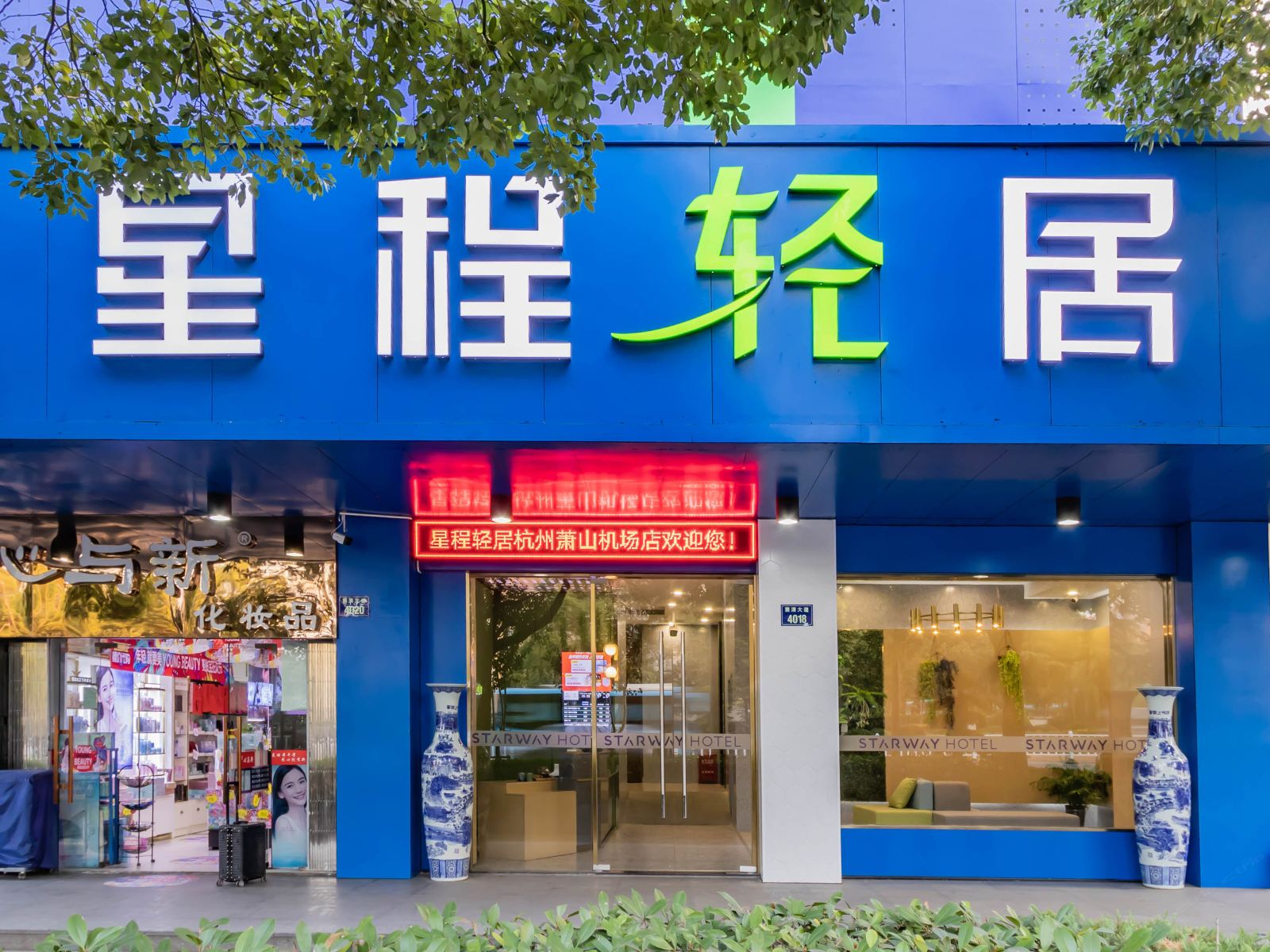 外观