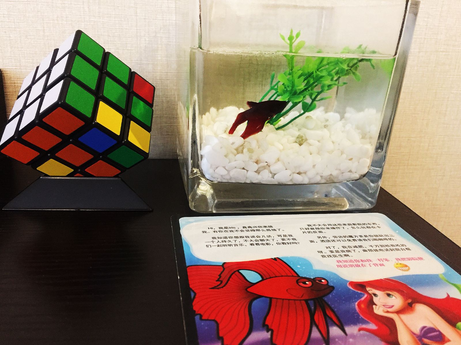 其他