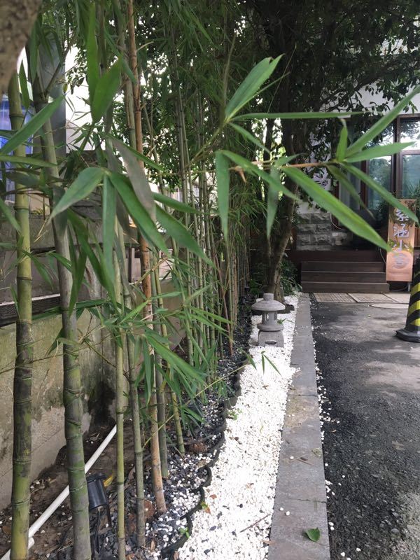 杭州紫涵小舍民宿