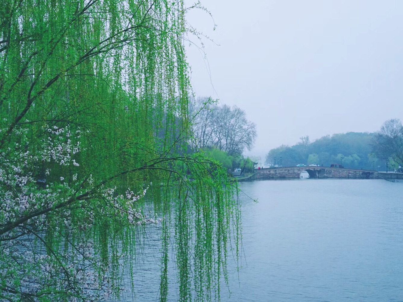 刘佳羽公寓(杭州通济路店)