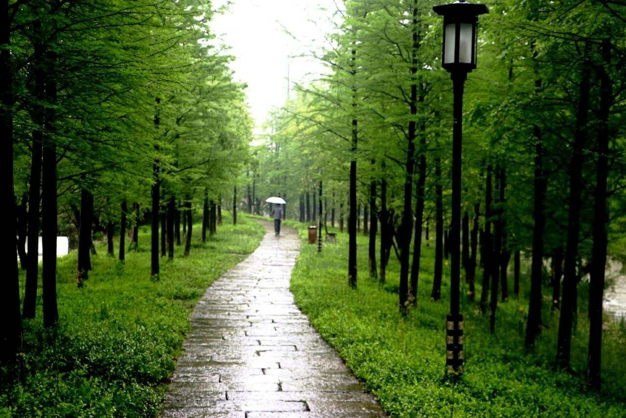 杭州小草之家普通公寓