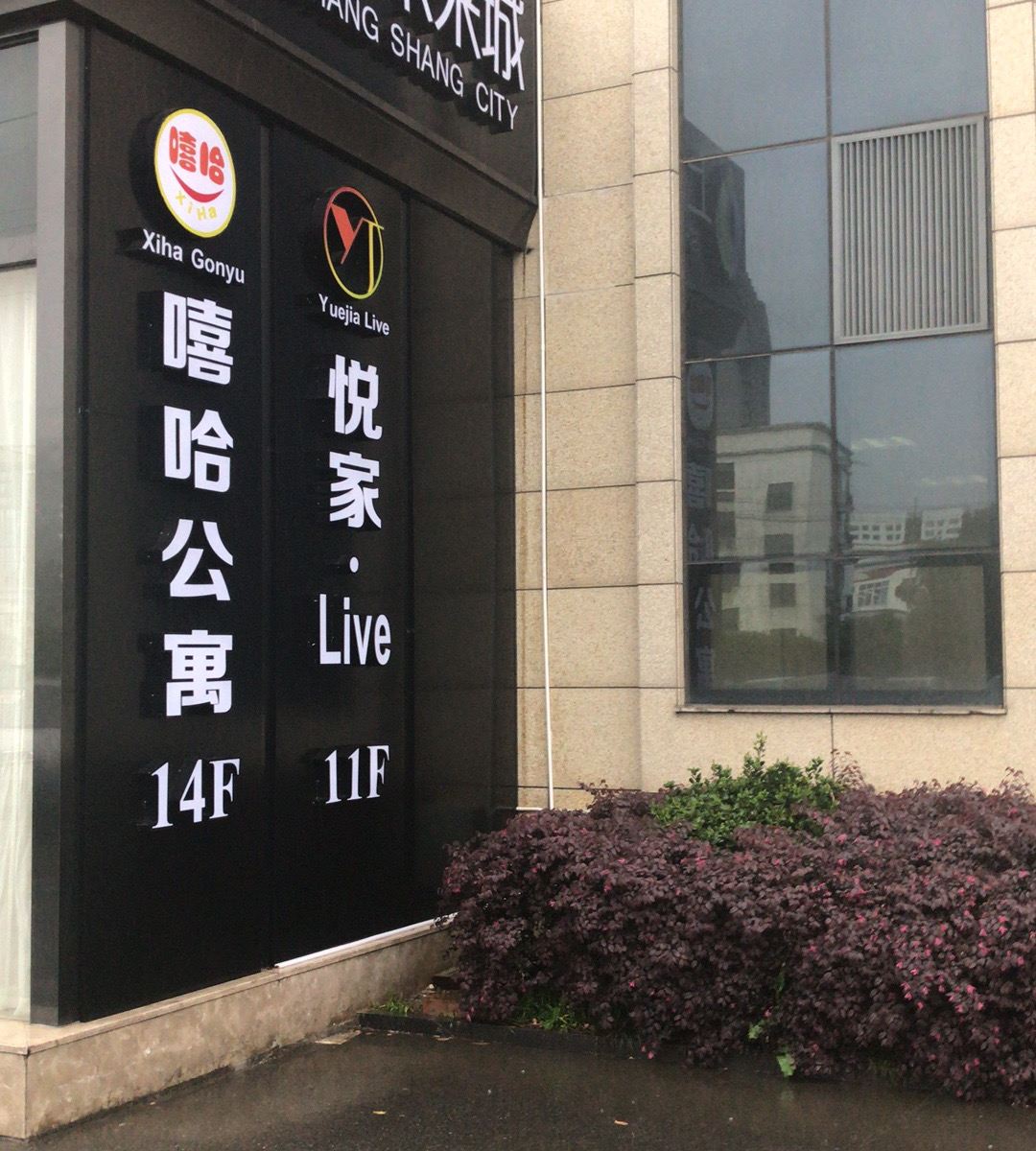 外观