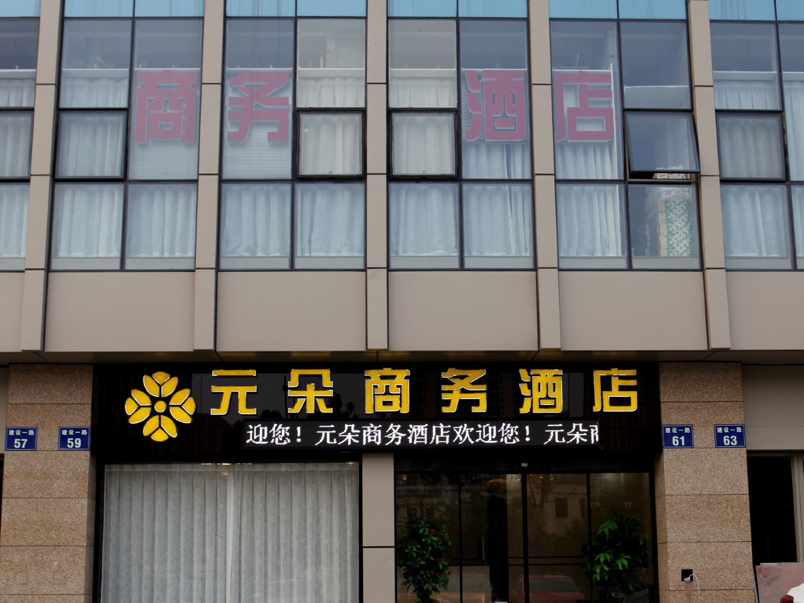外观