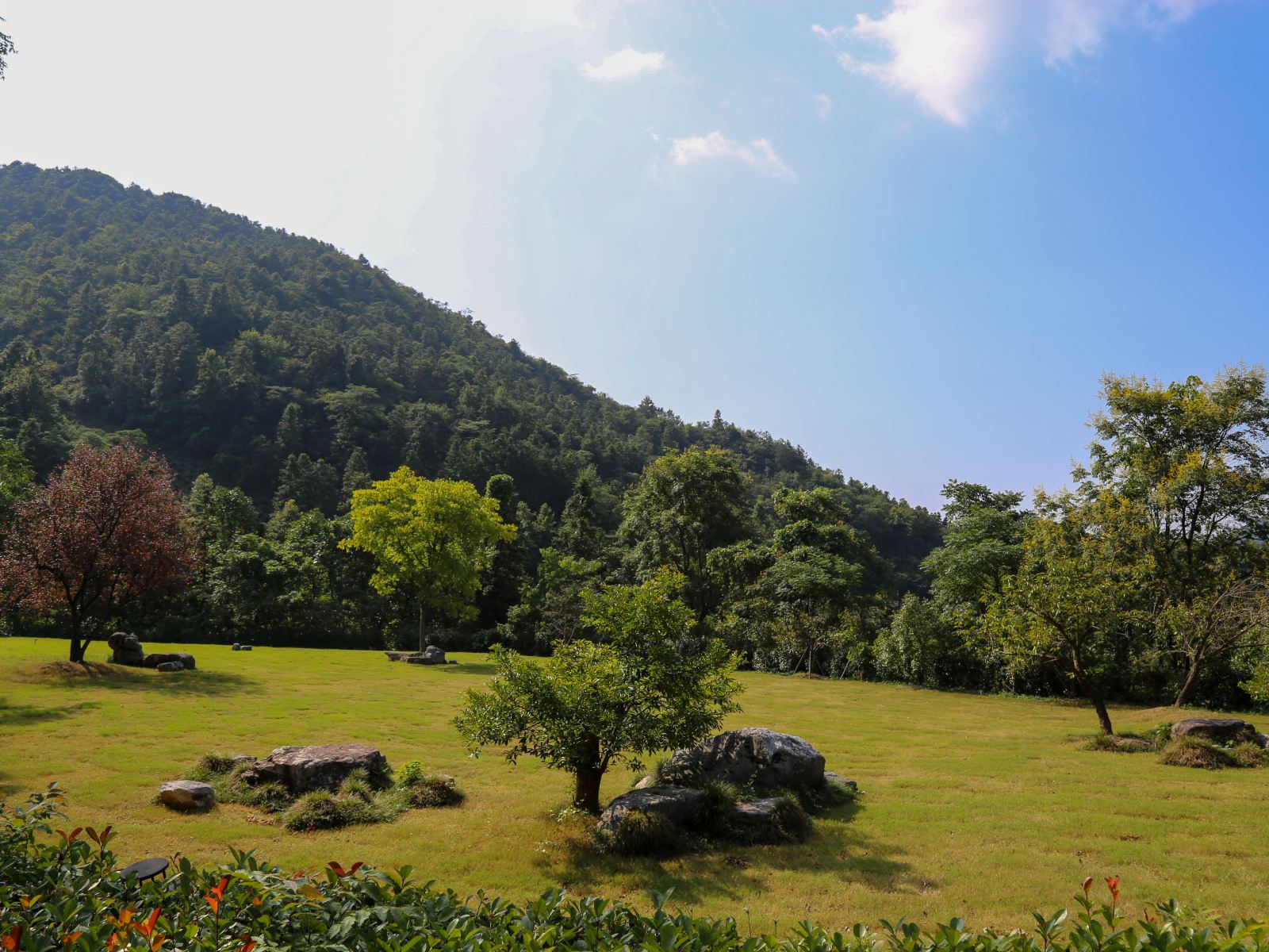 公共区域