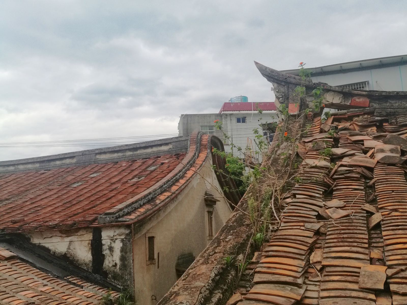 厦门橘子屋民宿