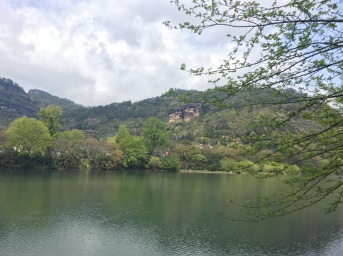 武夷山嘉年华别墅酒店
