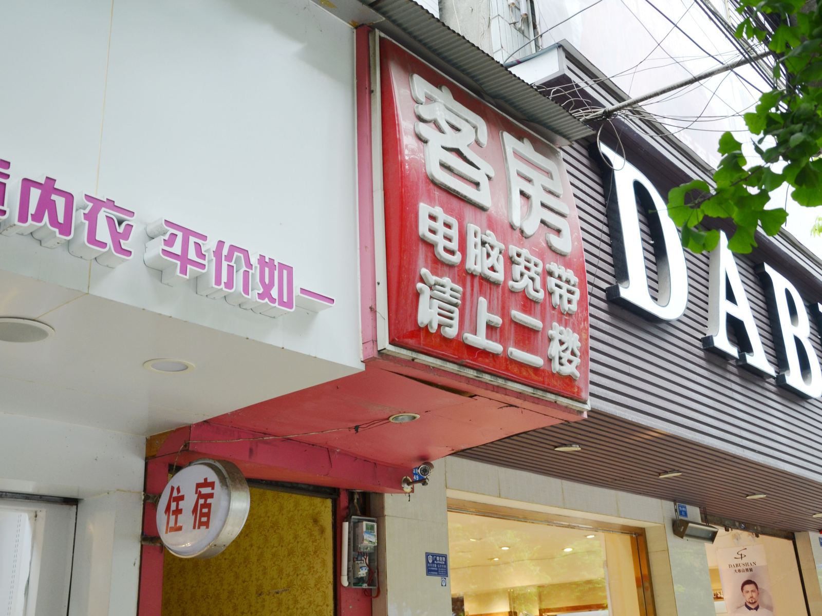 外观