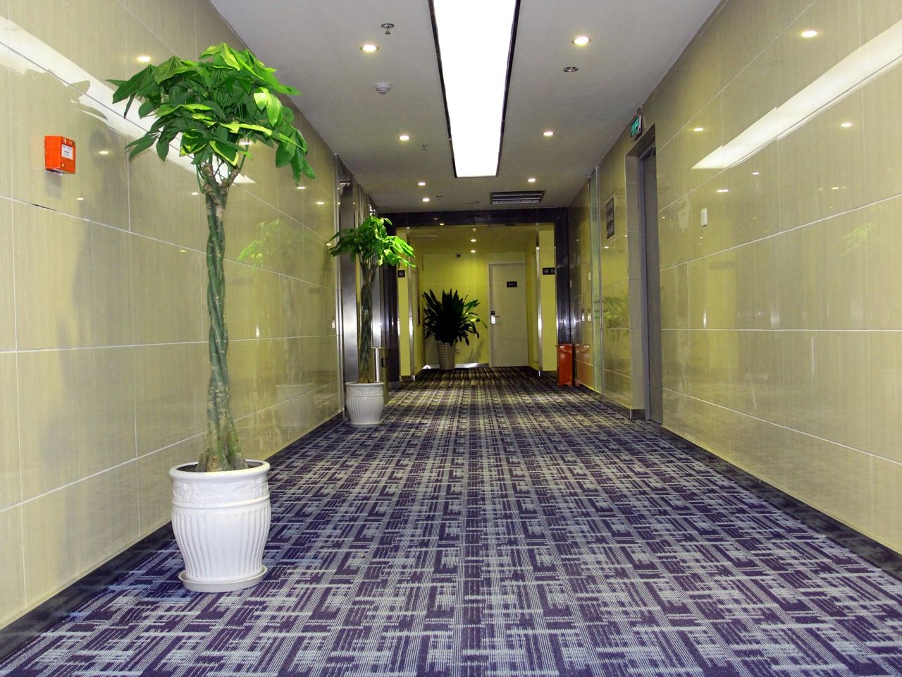 公共区域