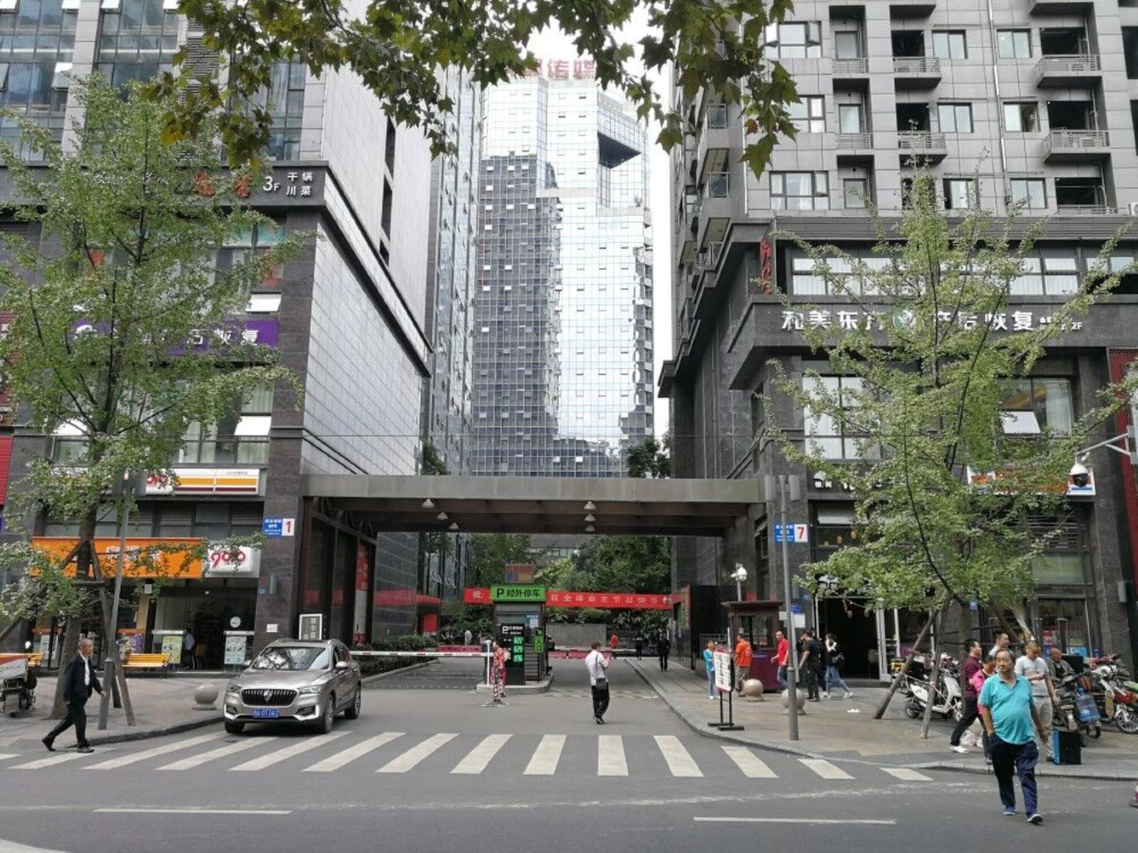 外观