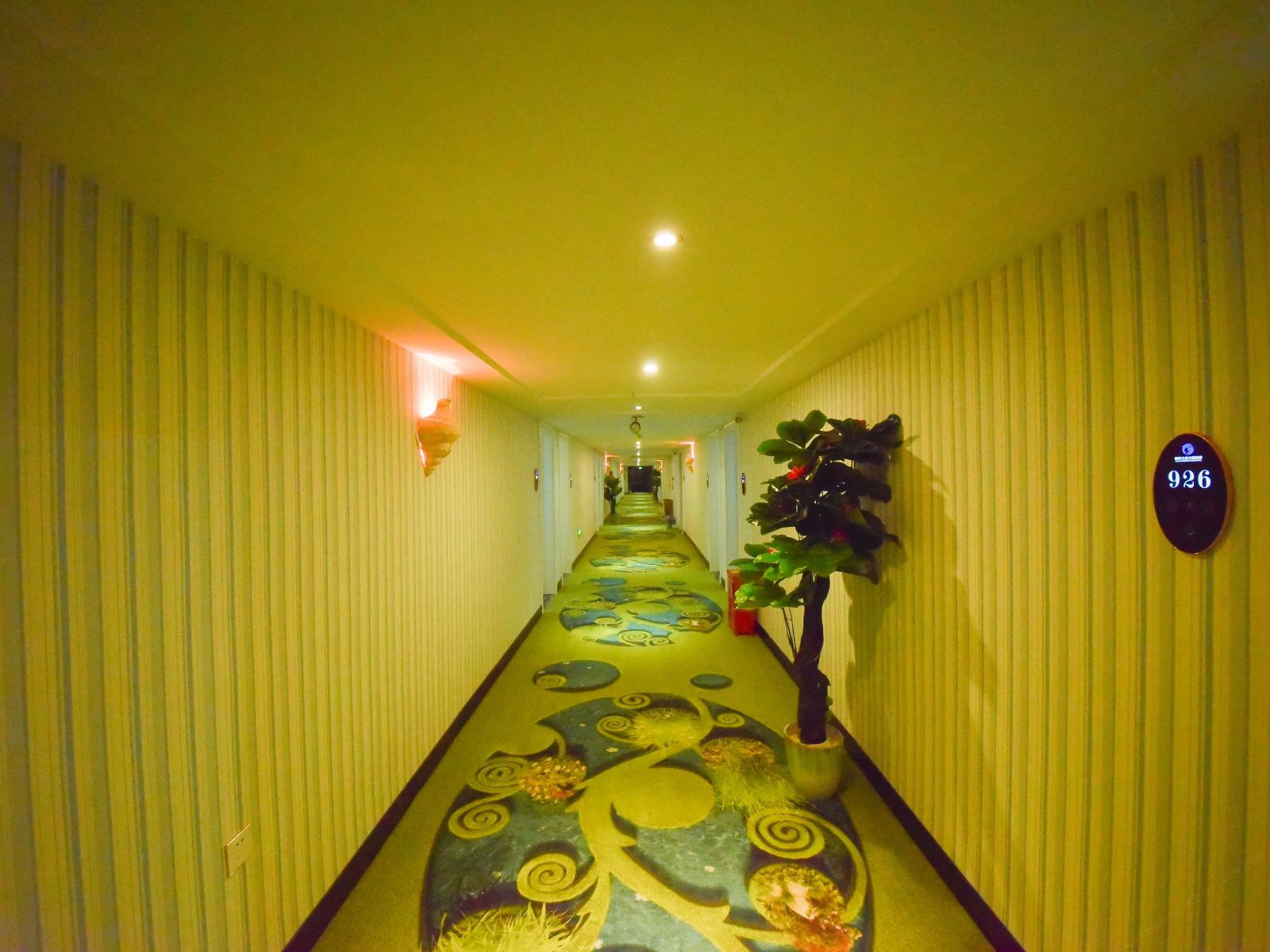 公共区域