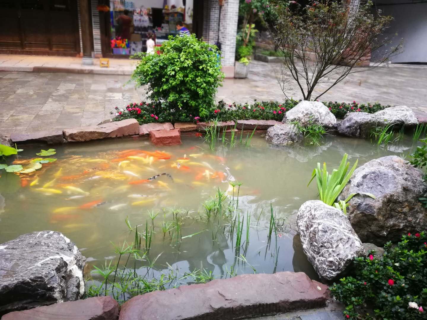 公共区域