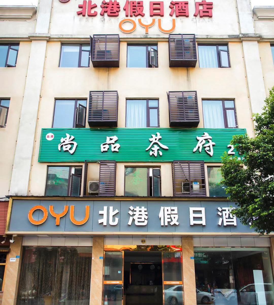 外观