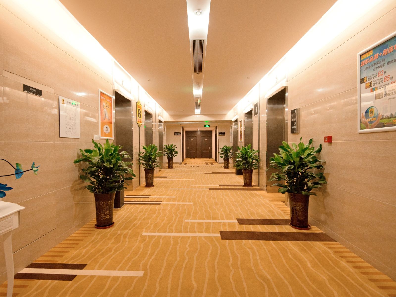 公共区域