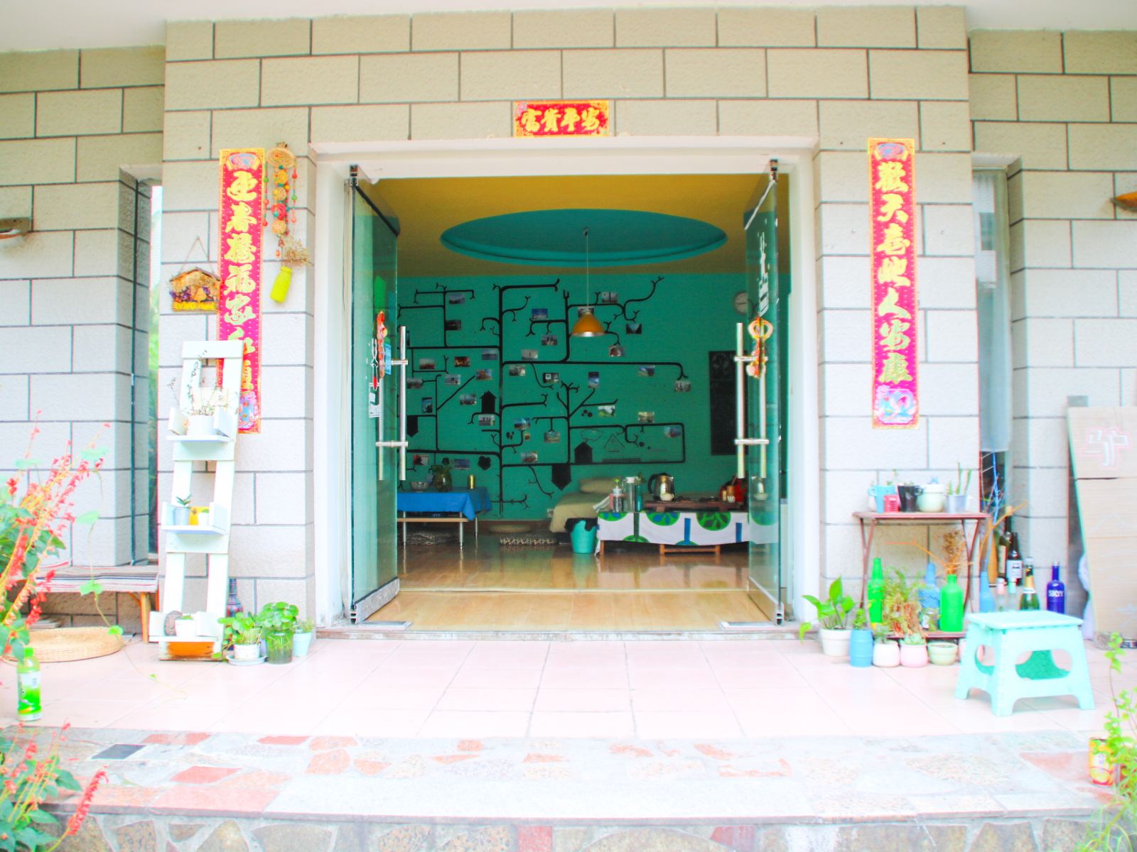 外观