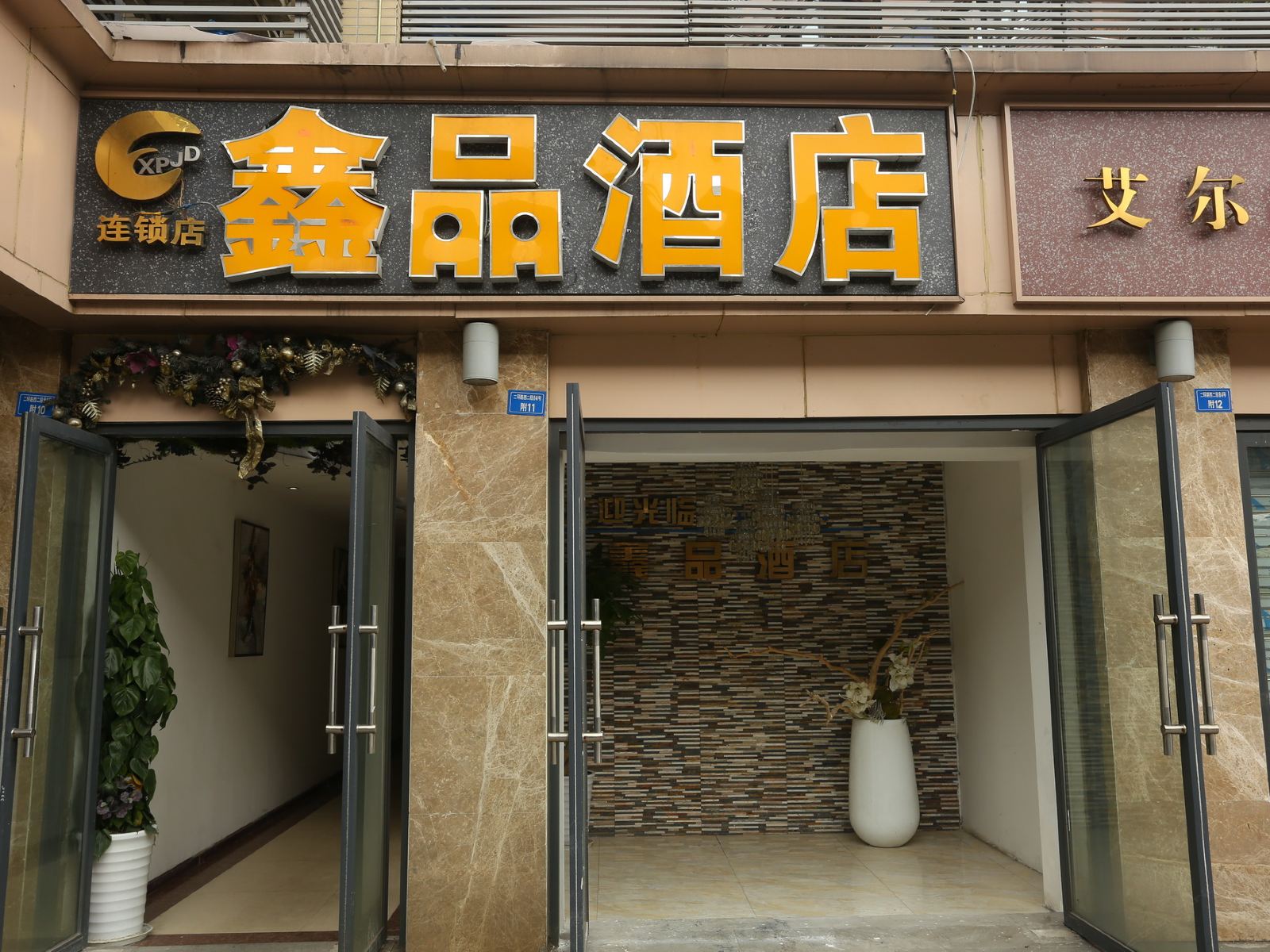 外观